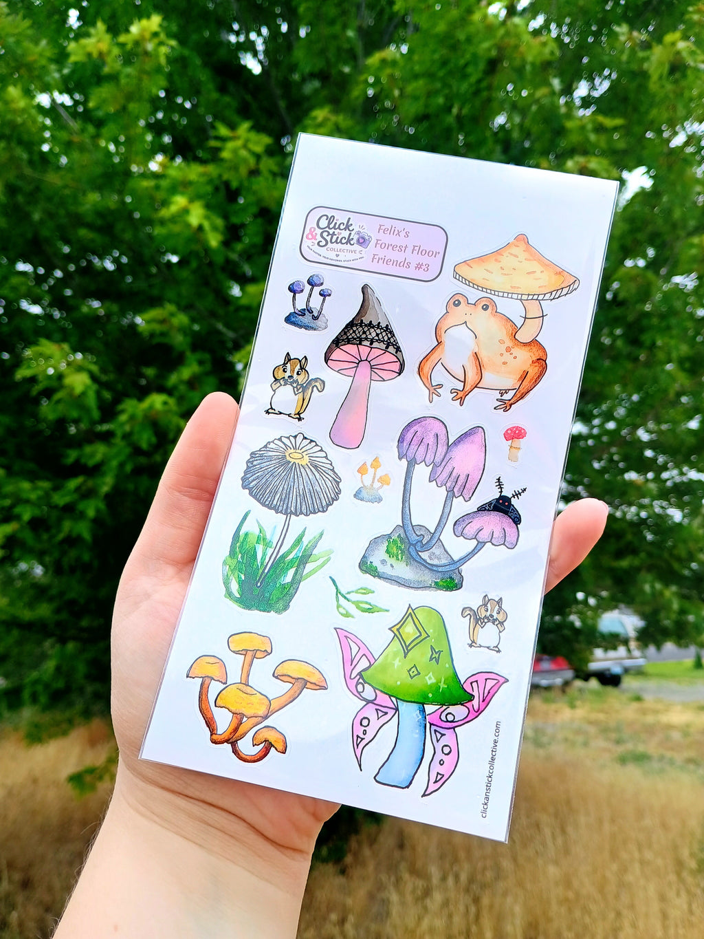 Felix's Forest Floor Friends #3