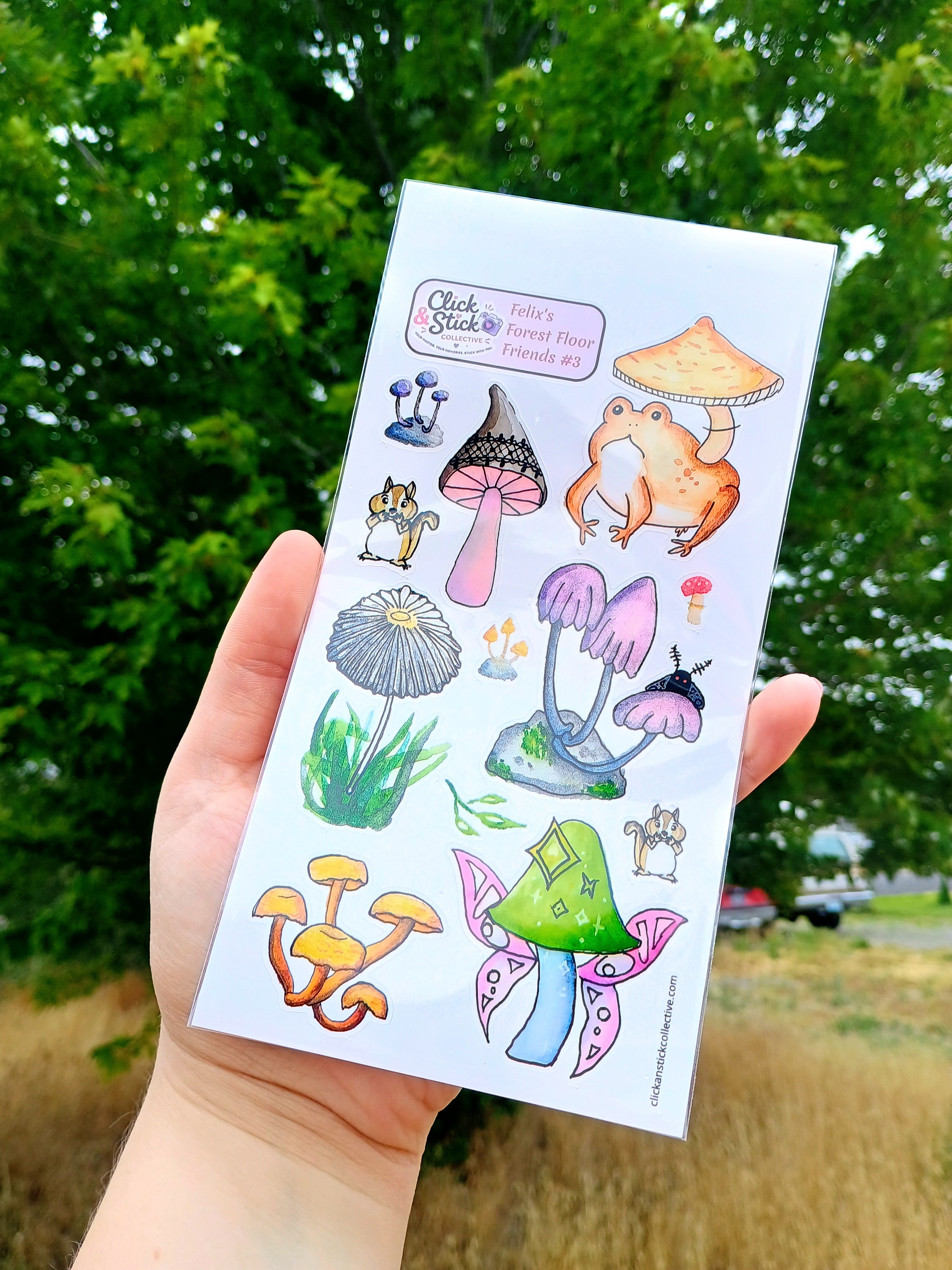 Felix's Forest Floor Friends #3