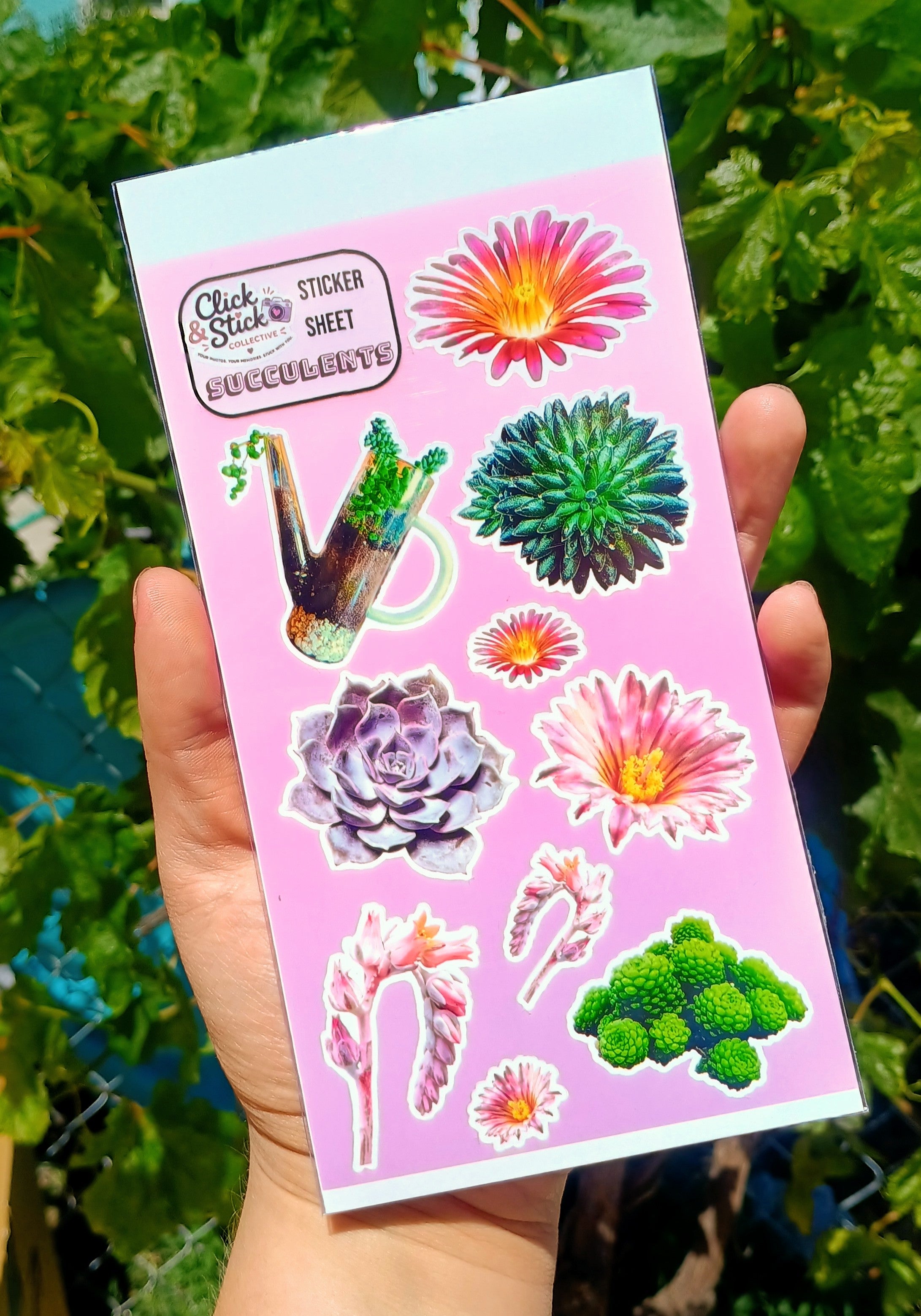 Felix's Succulents Sticker Sheet