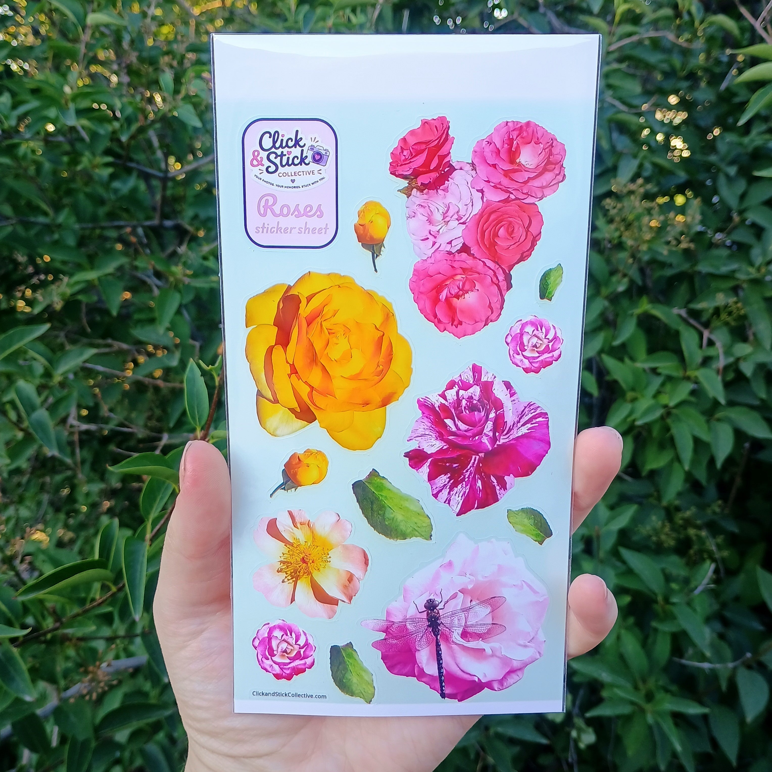 Felix's Roses Sticker Sheet