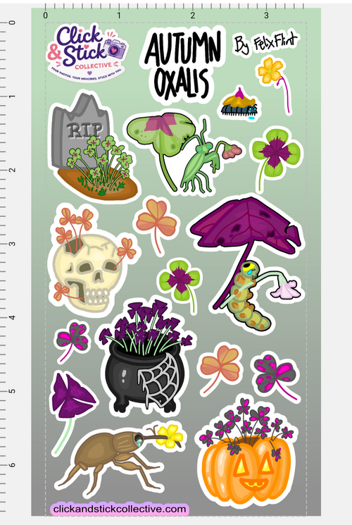 Autumn Oxalis | Halloween Shamrocks | Sticker Sheet